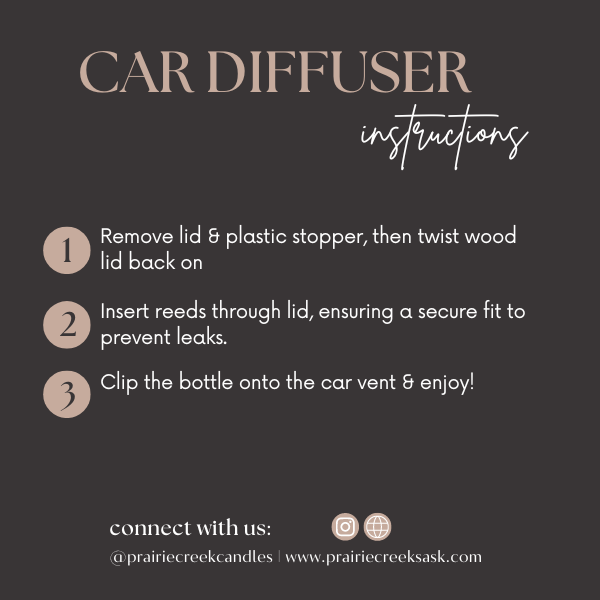 JUST PEACHY CAR DIFFUSER