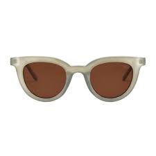 I Sea Canyon Cactus Brown polarized sunglasses