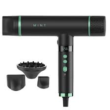 Mint Hummingbird Ionic Dryer