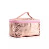 The Danielle Metallic Makeup bags